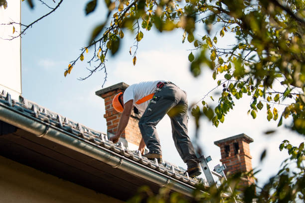 Best Roof Repair Services  in Teviston, CA