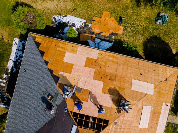 Roof Gutter Cleaning