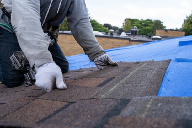 Roof Installation Near Me in Teviston, CA