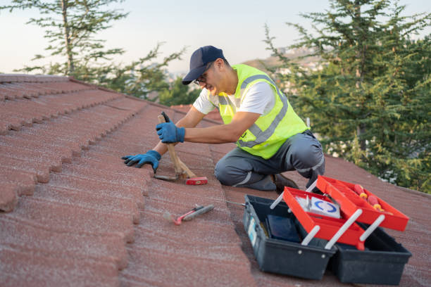 Best Local Roofing Companies  in Teviston, CA